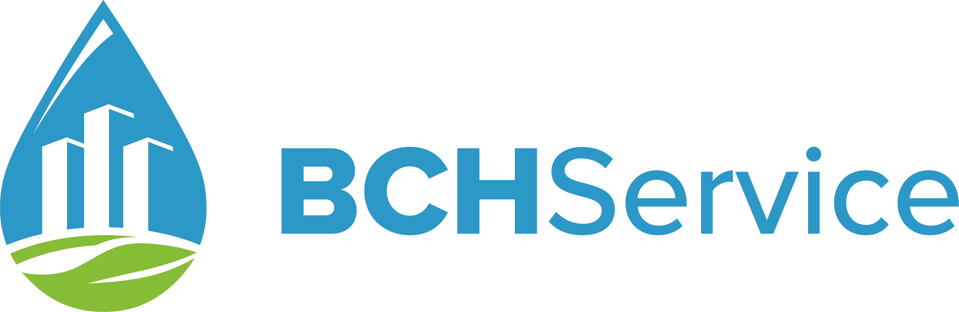BCH Service